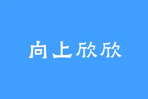 向上欣欣