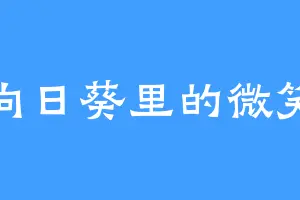 向日葵里的微笑