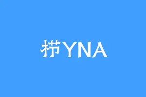 栉YNA