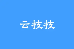 云枝枝