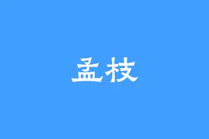 孟枝