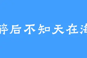 醉后不知天在海