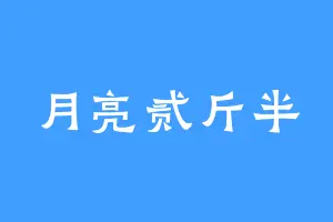 月亮贰斤半