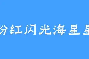 粉红闪光海星星