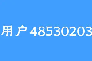 用户48530203