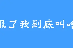 服了我到底叫啥