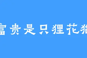 富贵是只狸花猫