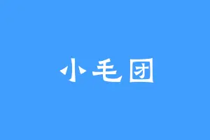 小毛团