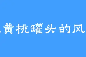 爱吃黄桃罐头的风细正