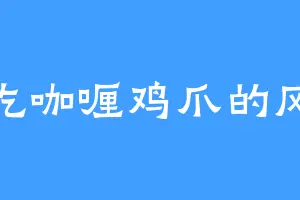 爱吃咖喱鸡爪的风少