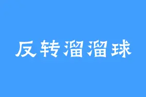 反转溜溜球
