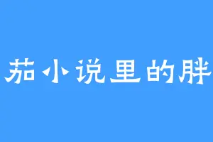 番茄小说里的胖子