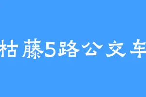 枯藤5路公交车