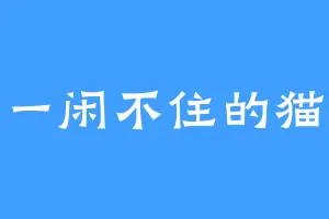 一闲不住的猫