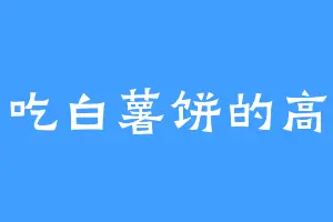 爱吃白薯饼的高维