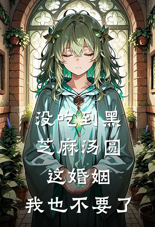 没吃到黑芝麻汤圆，这婚姻，我也不要了(楚海宁楚辰)全文在线阅读_(没吃到黑芝麻汤圆，这婚姻，我也不要了)精彩小说