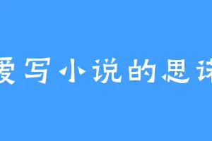 爱写小说的思诺