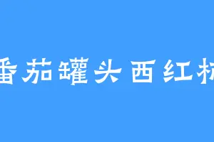 番茄罐头西红柿