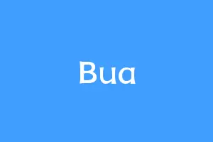Bua