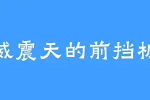 威震天的前挡板