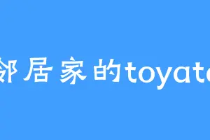 邻居家的toyata