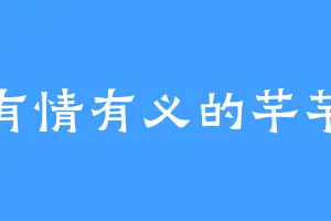 有情有义的芊芊