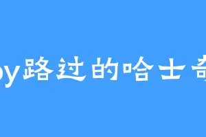 by路过的哈士奇
