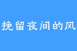 挽留夜间的风