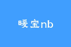 暖宝nb