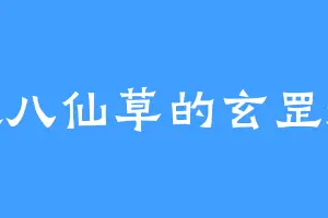 喜欢八仙草的玄罡摄魂