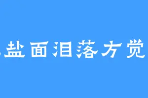 无盐面泪落方觉咸