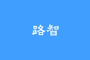 路智