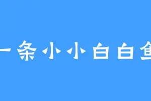 一条小小白白鱼