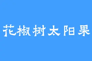 花椒树太阳果