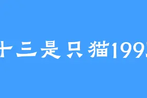 十三是只猫1995