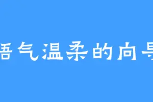 语气温柔的向导