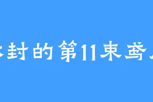 冰封的第11束鸢尾