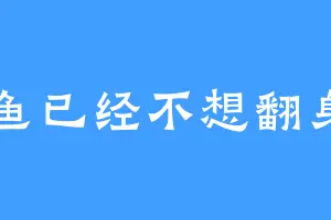 咸鱼已经不想翻身了