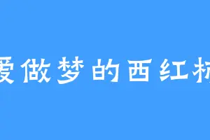 爱做梦的西红柿