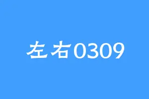 左右0309