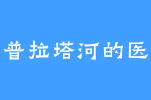 拉普拉塔河的医生