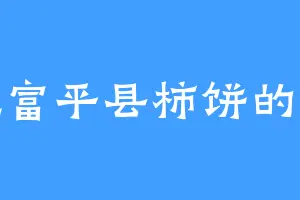 爱吃富平县柿饼的云儿