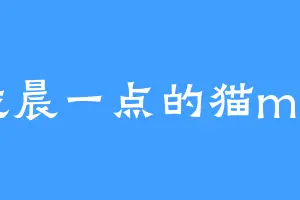 凌晨一点的猫mm
