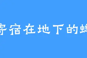 寄宿在地下的蝉