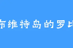 布维特岛的罗比