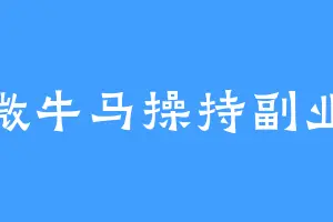 卑微牛马操持副业版
