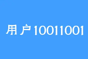 用户10011001