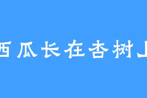 西瓜长在杏树上