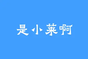 是小莱啊