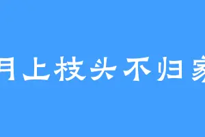 月上枝头不归家
